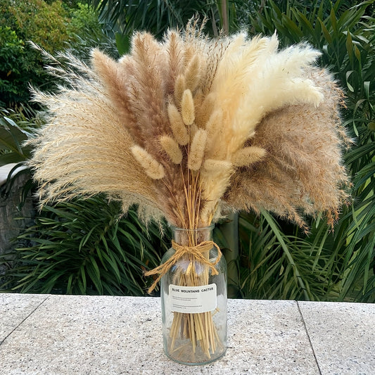 Dried Pampas Bouquet---100pcs